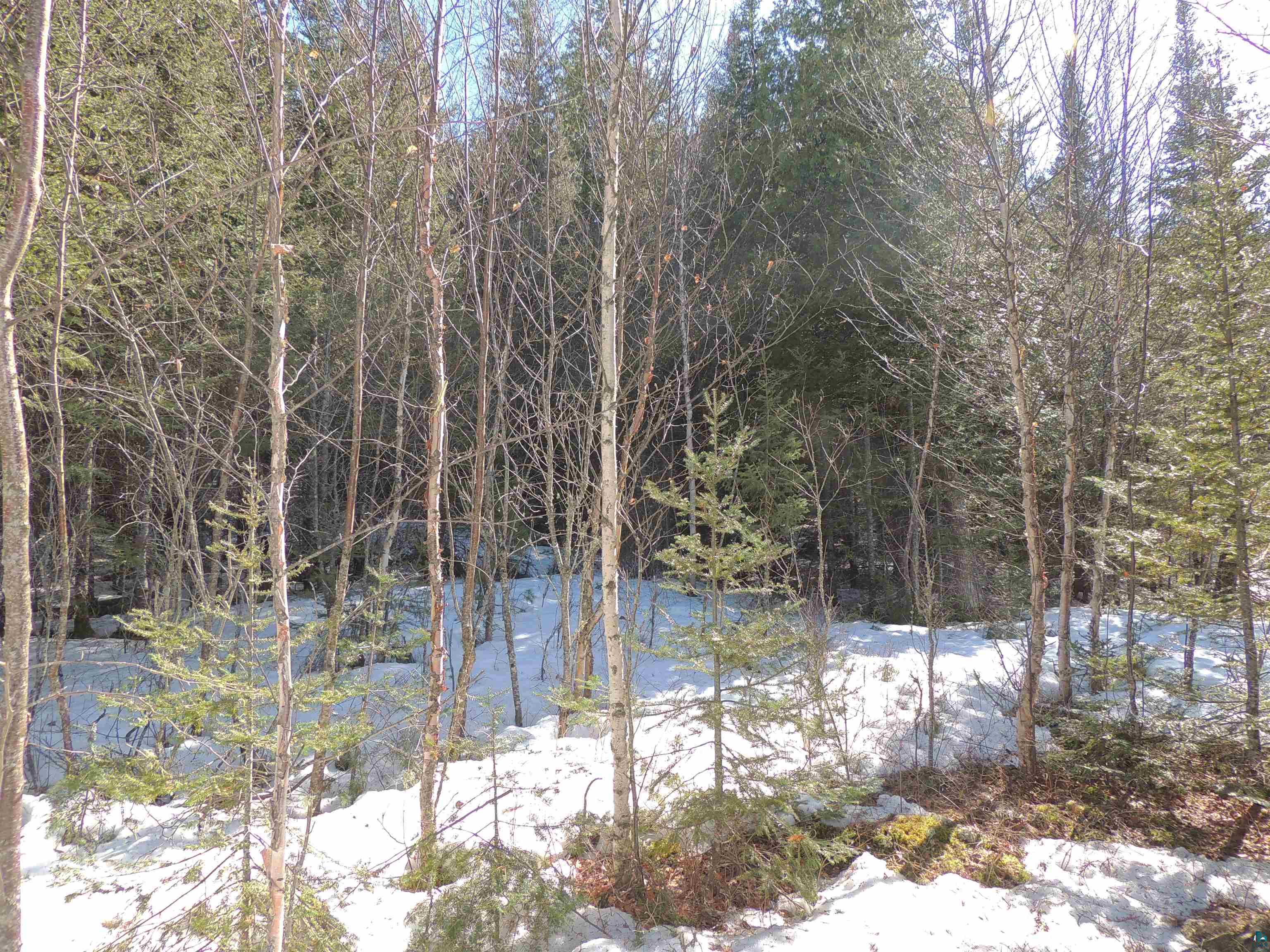 463 South Gunflint Lake Road Grand Marais, MN 55604 - Photo 39 of 52
