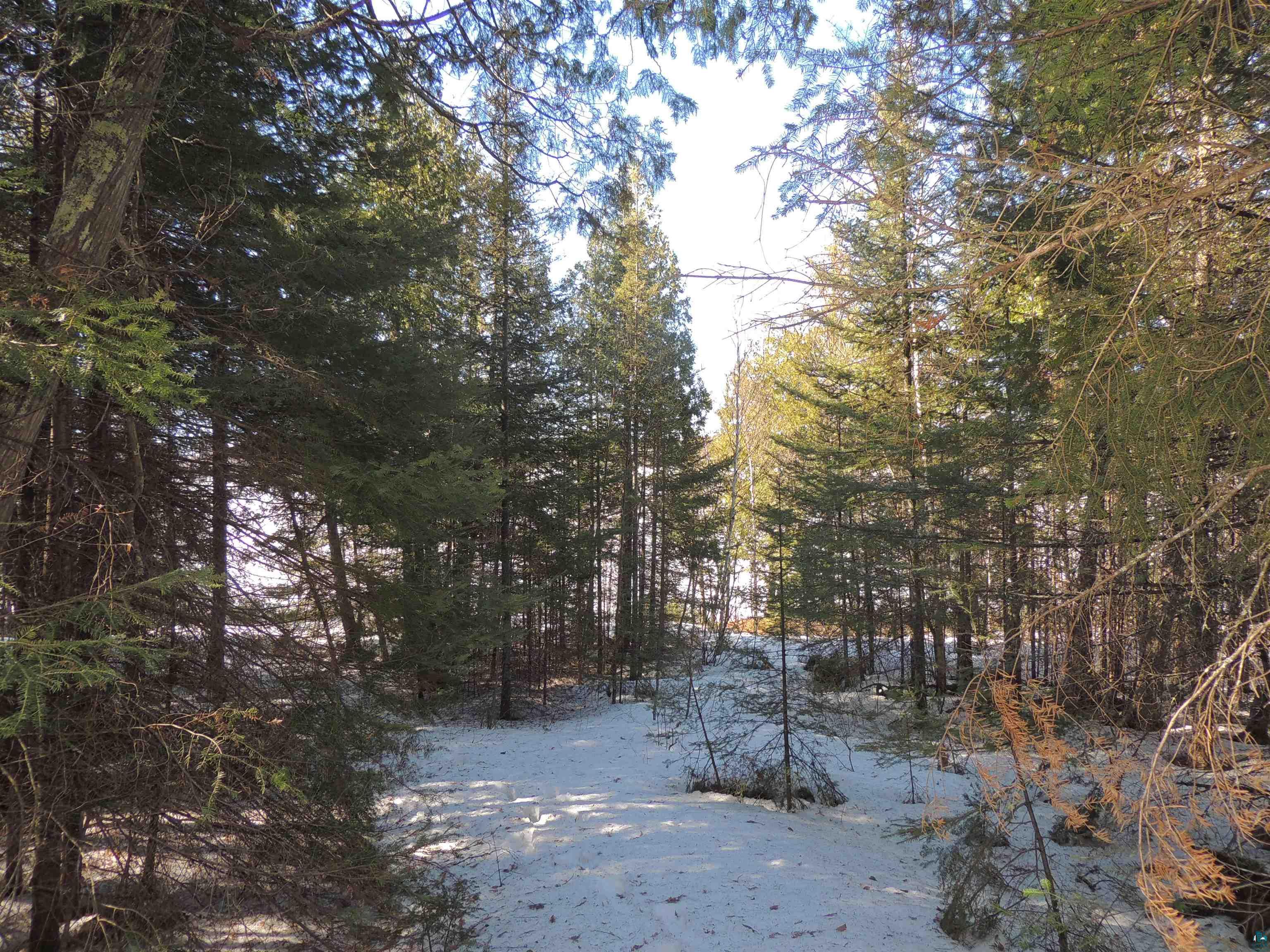 463 South Gunflint Lake Road Grand Marais, MN 55604 - Photo 44 of 52