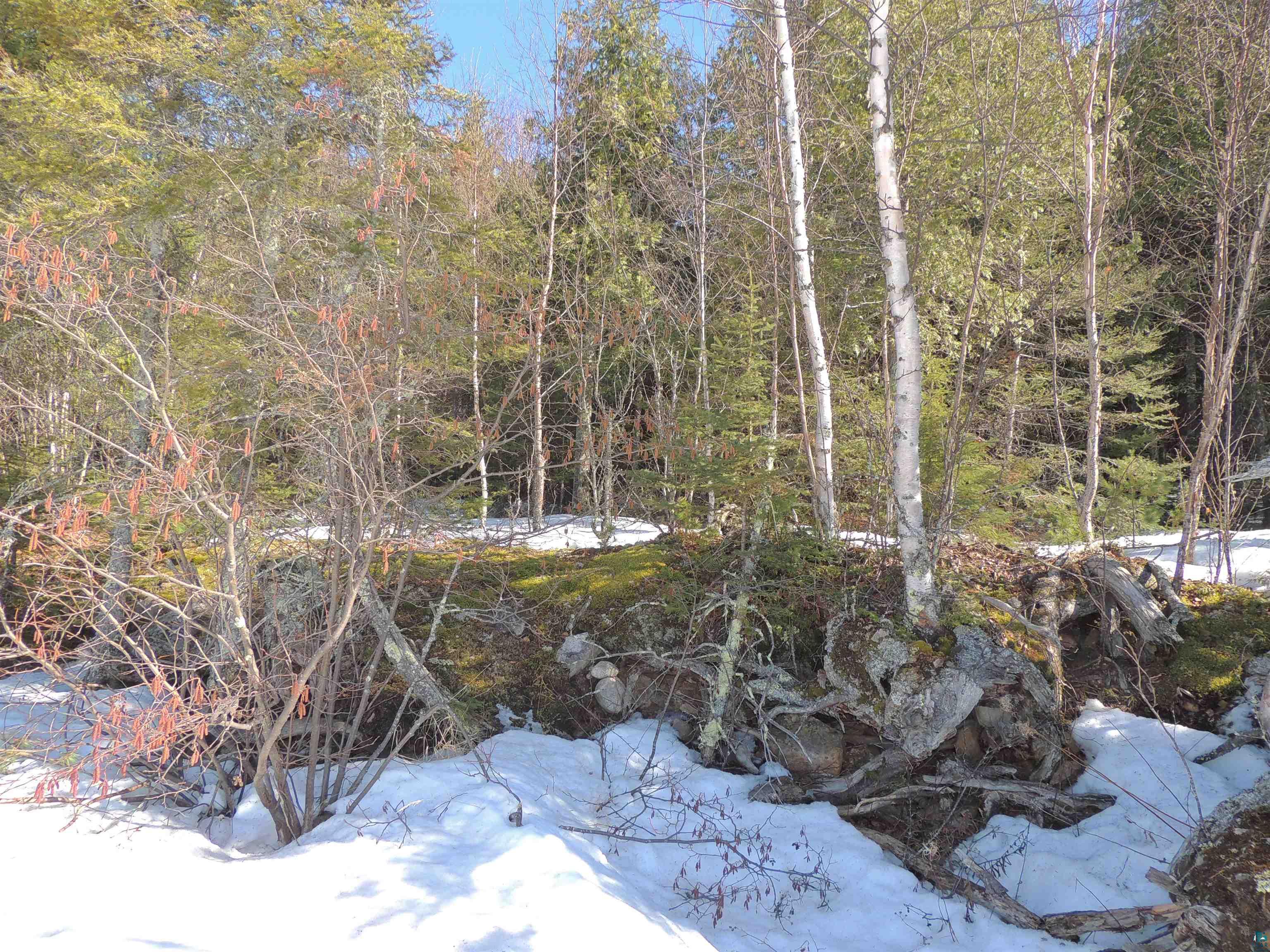 463 South Gunflint Lake Road Grand Marais, MN 55604 - Photo 47 of 52