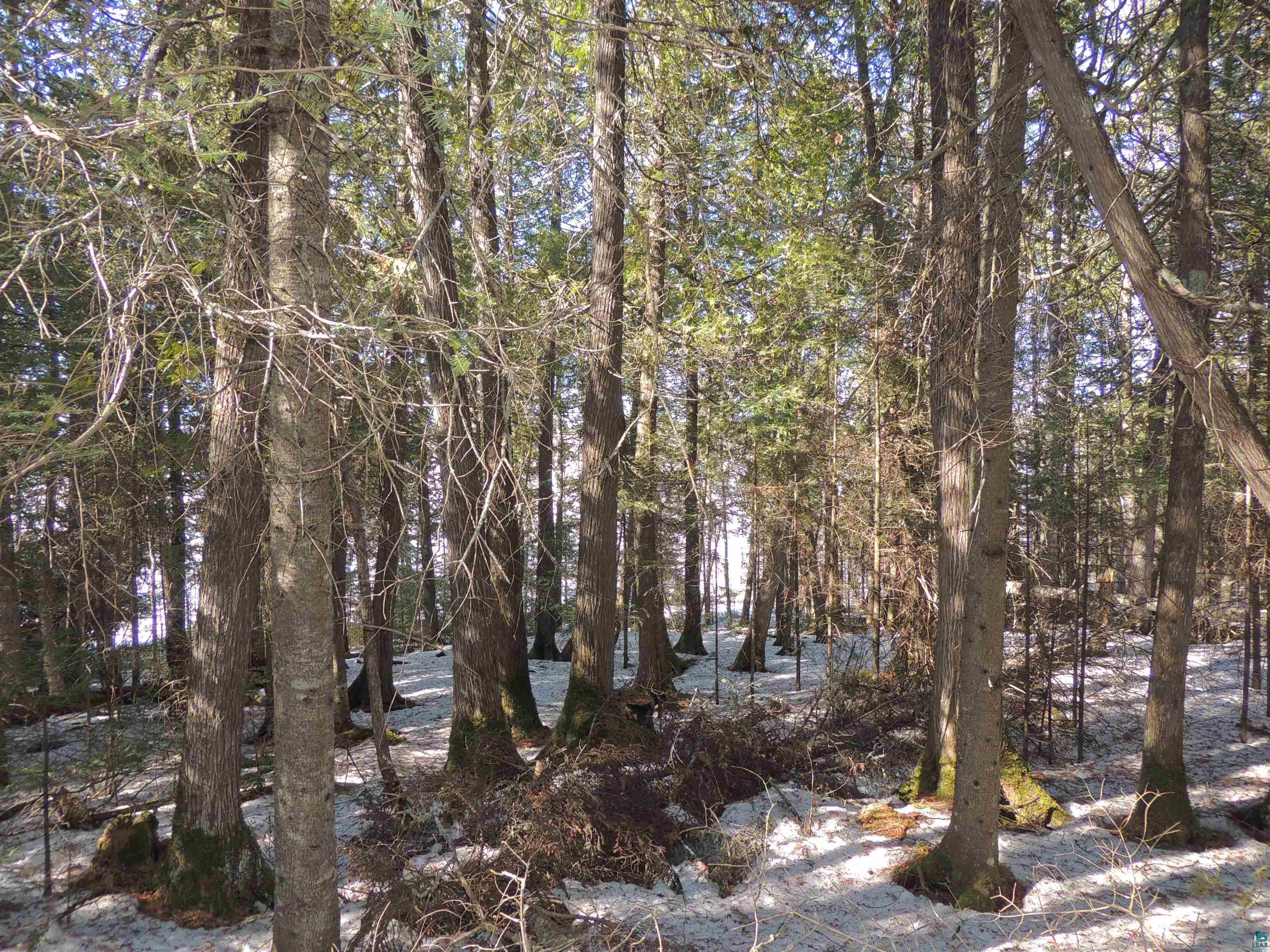 463 South Gunflint Lake Road Grand Marais, MN 55604 - Photo 49 of 52