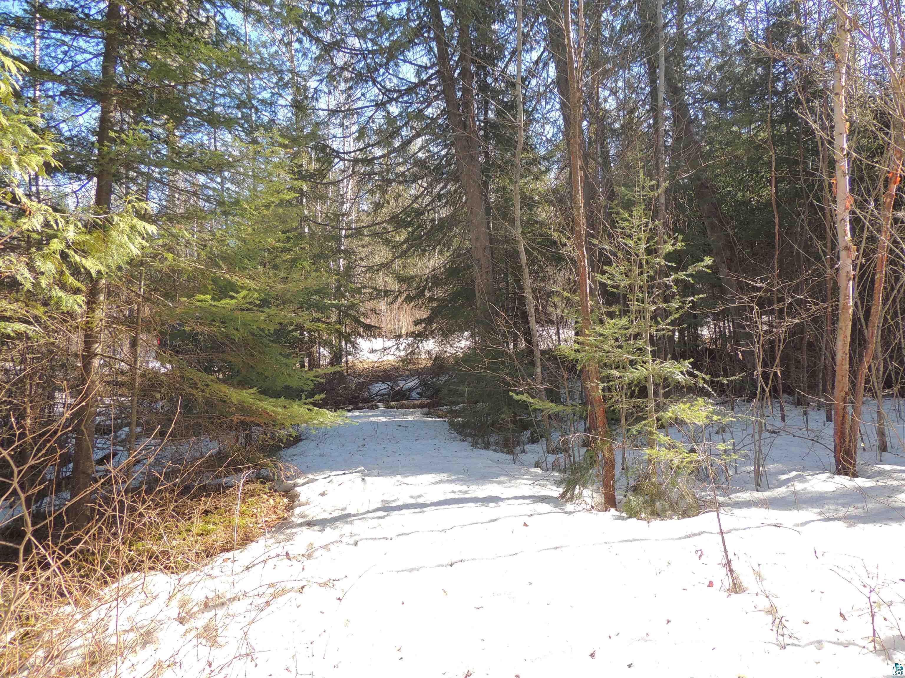 463 South Gunflint Lake Road Grand Marais, MN 55604 - Photo 51 of 52