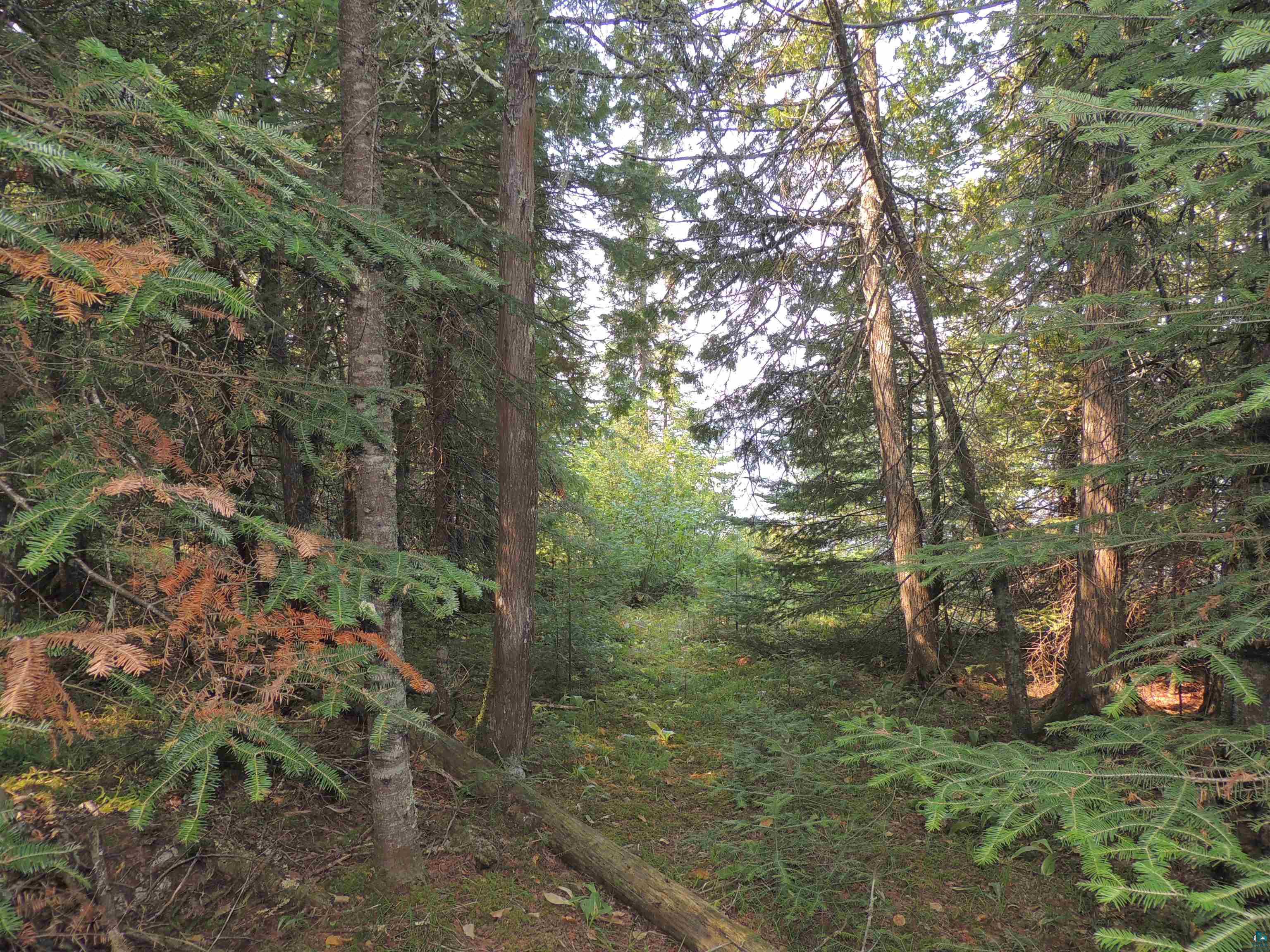 463 South Gunflint Lake Road Grand Marais, MN 55604 - Photo 7 of 52