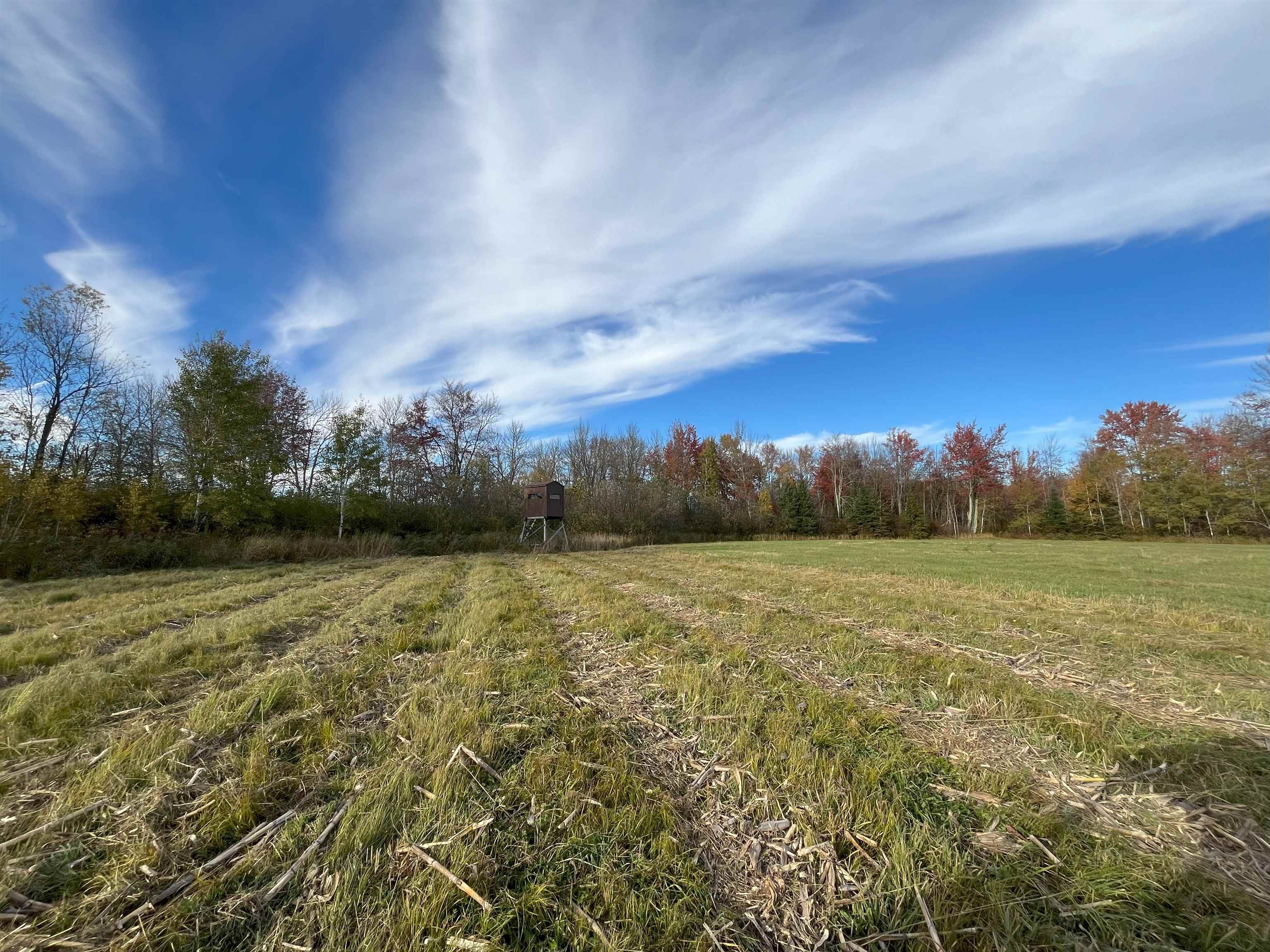 N5104 Pass Road Catawba, WI 54515 - Photo 8 of 31