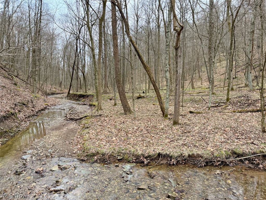 Hanson Road Beverly, OH 45715 - Photo 41 of 45