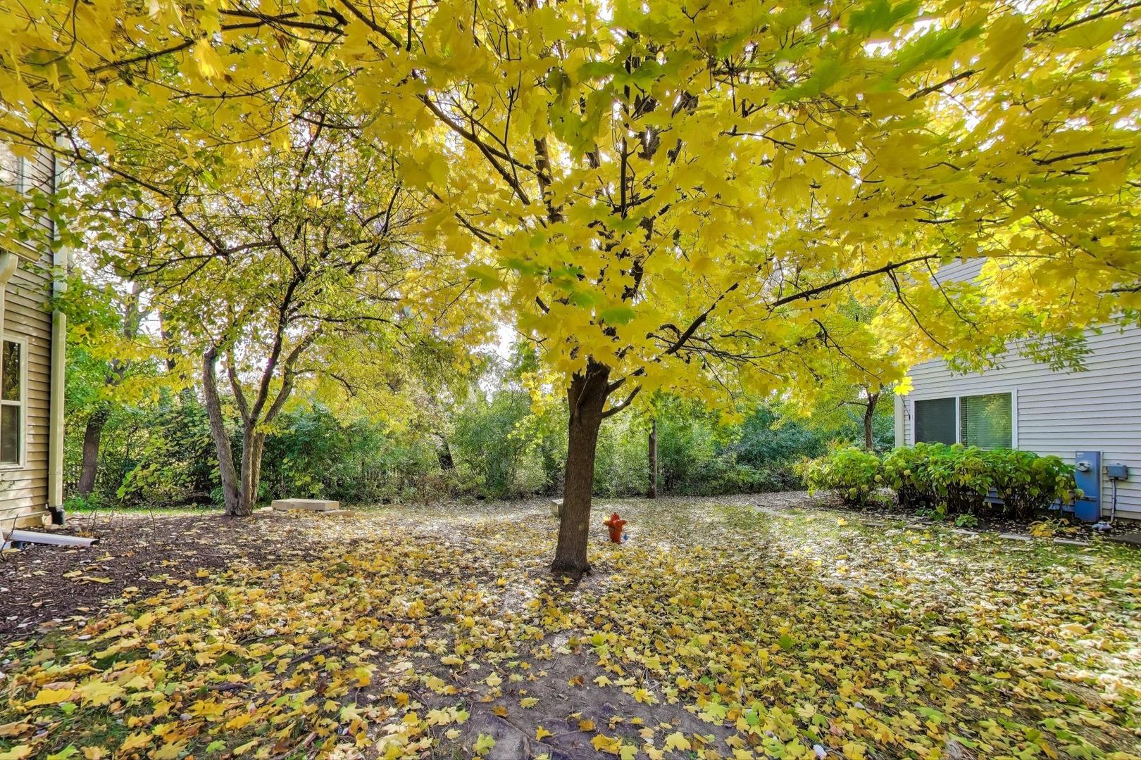2271 Stoughton Circle Aurora, IL 60502 - Photo 30 of 34 a backyard of a house with large trees and plants