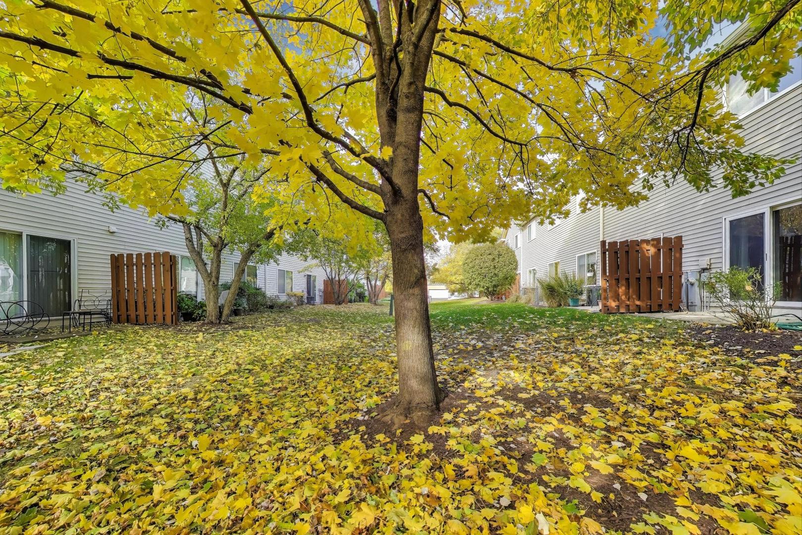 2271 Stoughton Circle Aurora, IL 60502 - Photo 31 of 34 a backyard of a house with table and chairs