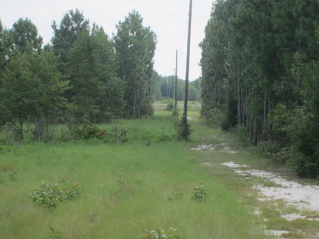 962 Kedron Church Road Aiken, SC 29805 - Photo 26 of 32
