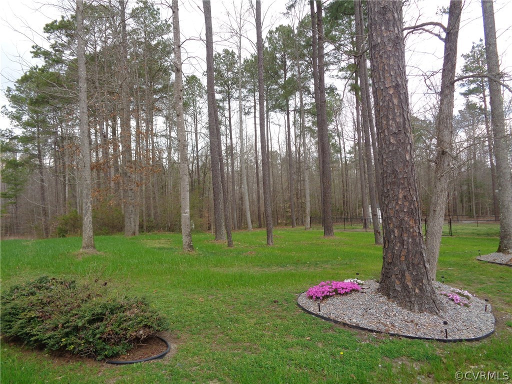 8420 Holdsworth Road Disputanta, VA 23842 - Photo 6 of 35 Gallery Image 6