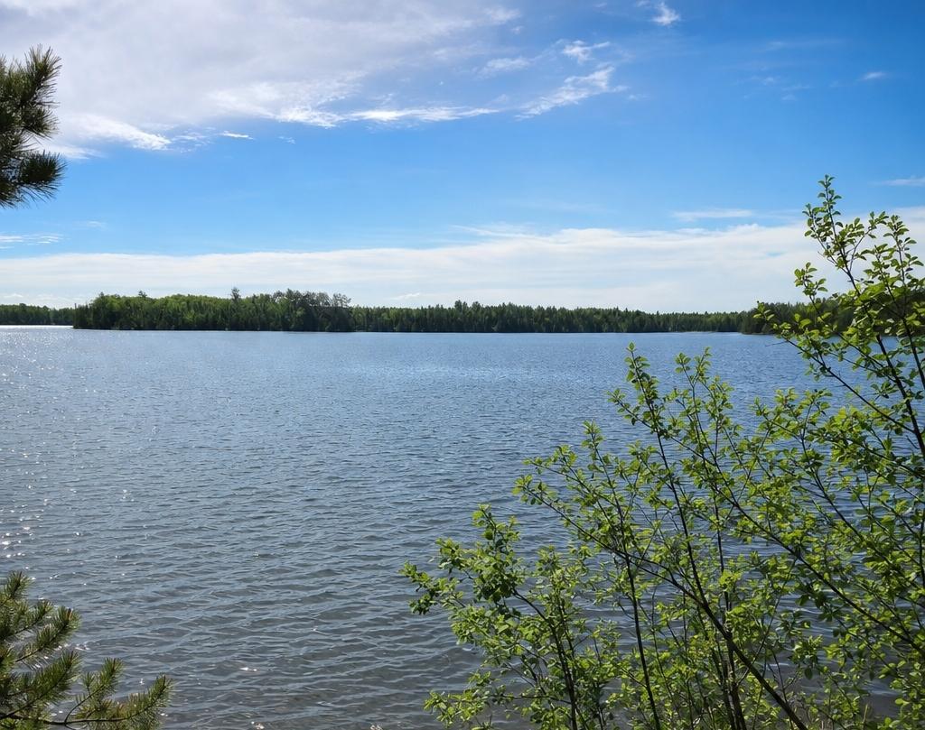 51946 North Wasson Lake Road Bigfork, MN 56628 - Photo 52 of 52