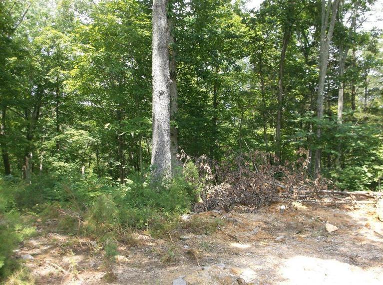 12 Echo Point Road Bronston, KY 42518 - Photo 2 of 3 Additional Photo