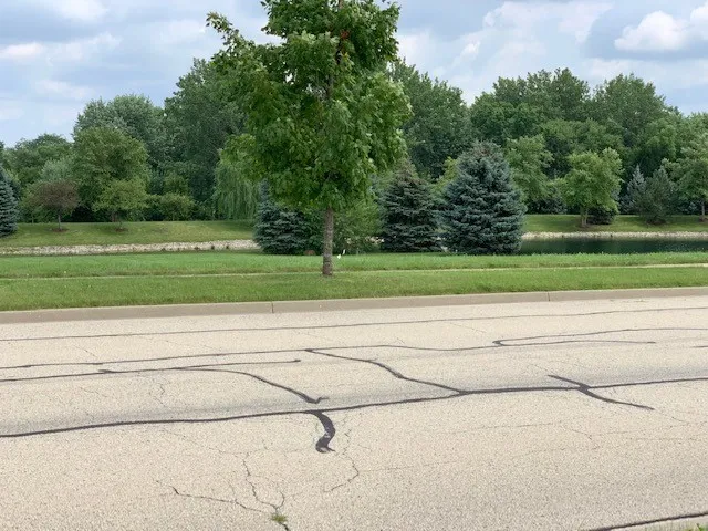 a view of a big yard