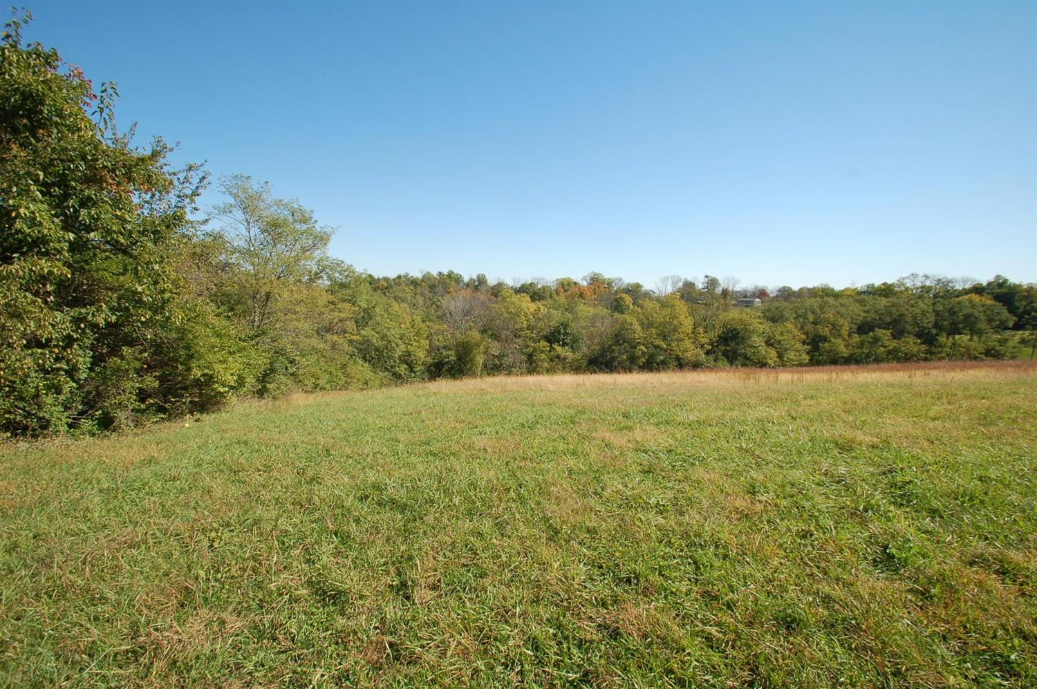 3559 9 Mile Road Melbourne, KY 41059 - Photo 21 of 28 Gallery Image 21