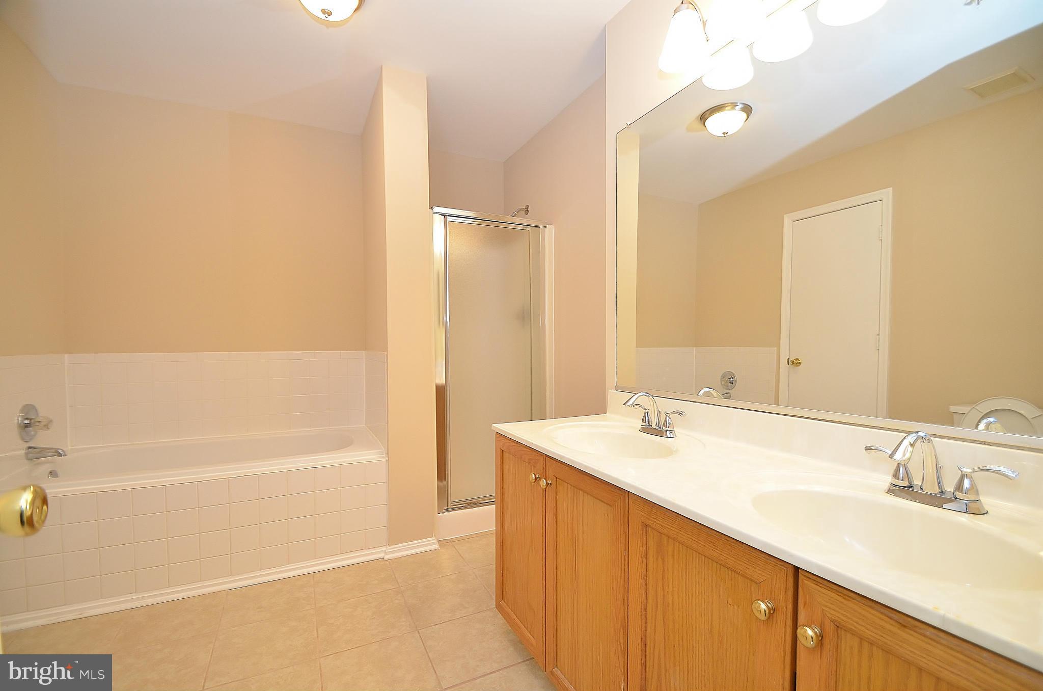 1331 Hazel Street Baltimore, MD 21226 - Photo 10 of 19 a bathroom with a sink a mirror and a bathtub