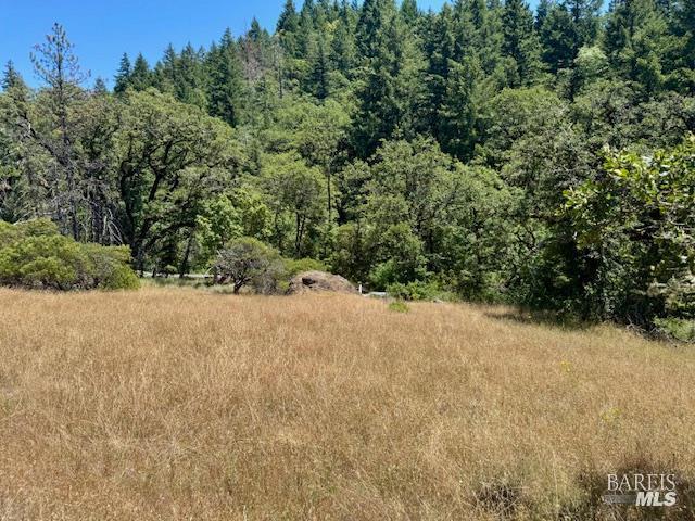 6355 First Gate Road Willits, CA 95490 - Photo 9 of 16 Gallery Image 9