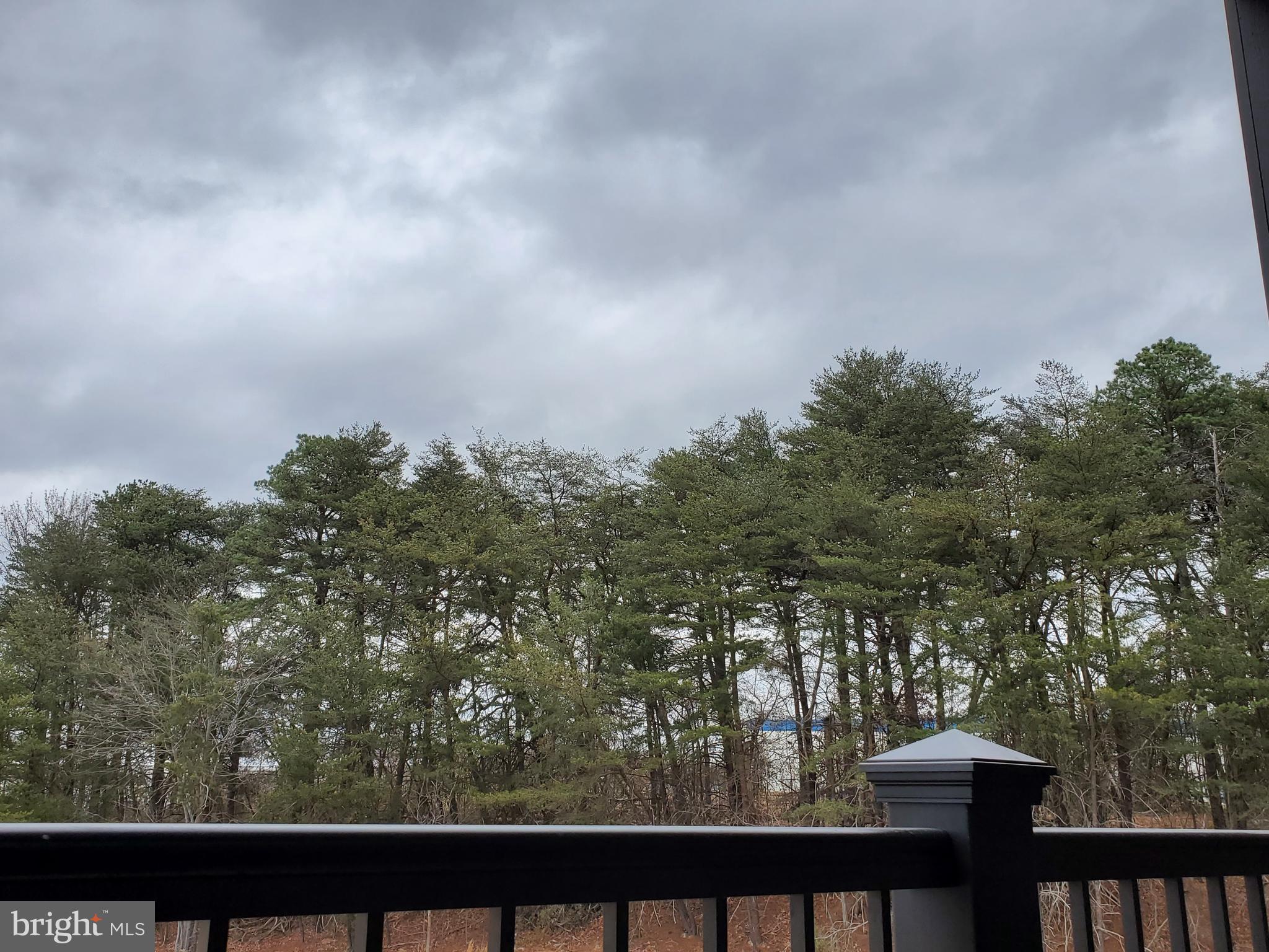 10010 Ruffian Way, Unit L Laurel, MD 20723 - Photo 50 of 50