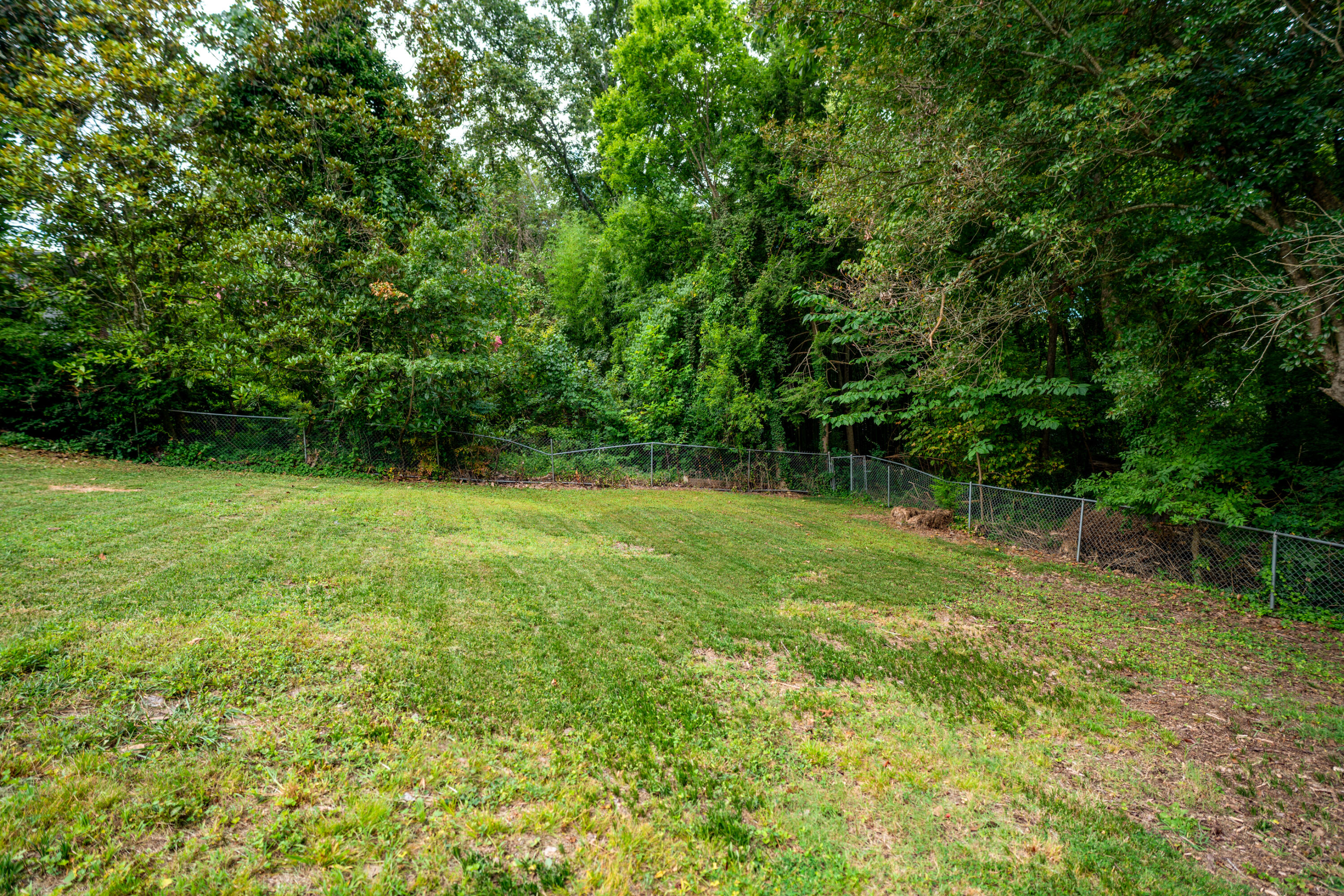 941 Sherry Circle Hixson, TN 37343 - Photo 49 of 63 _DSC2846-Edit