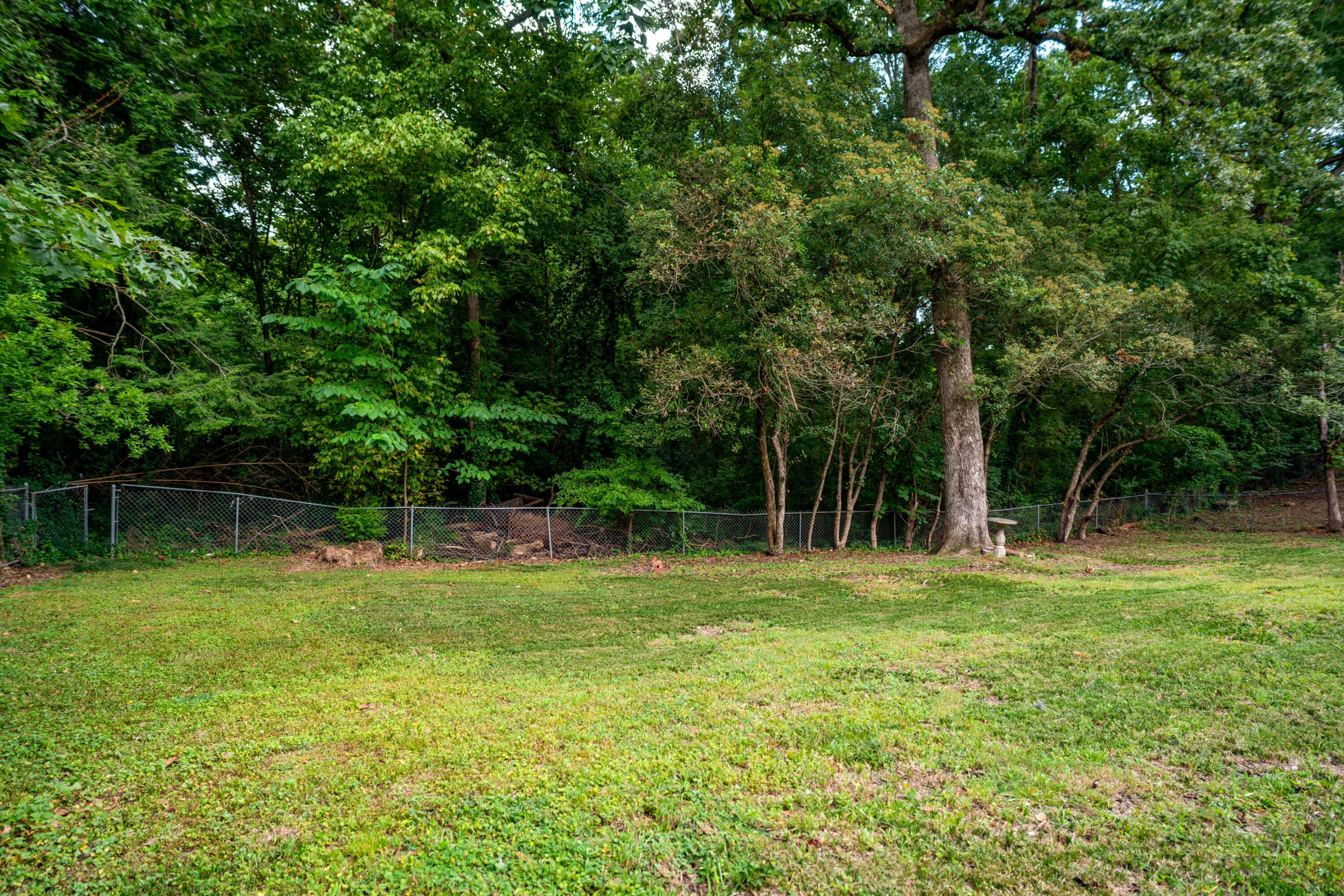 941 Sherry Circle Hixson, TN 37343 - Photo 50 of 63 _DSC2850-Edit