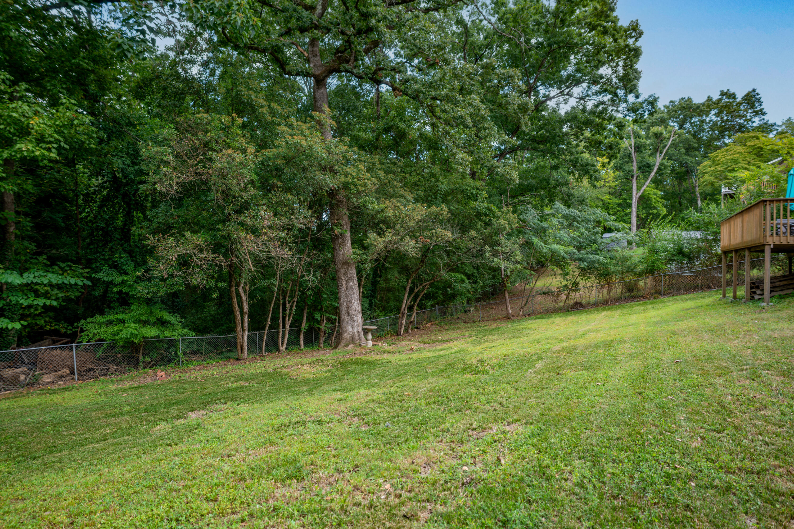 941 Sherry Circle Hixson, TN 37343 - Photo 51 of 63 _DSC2849-Edit