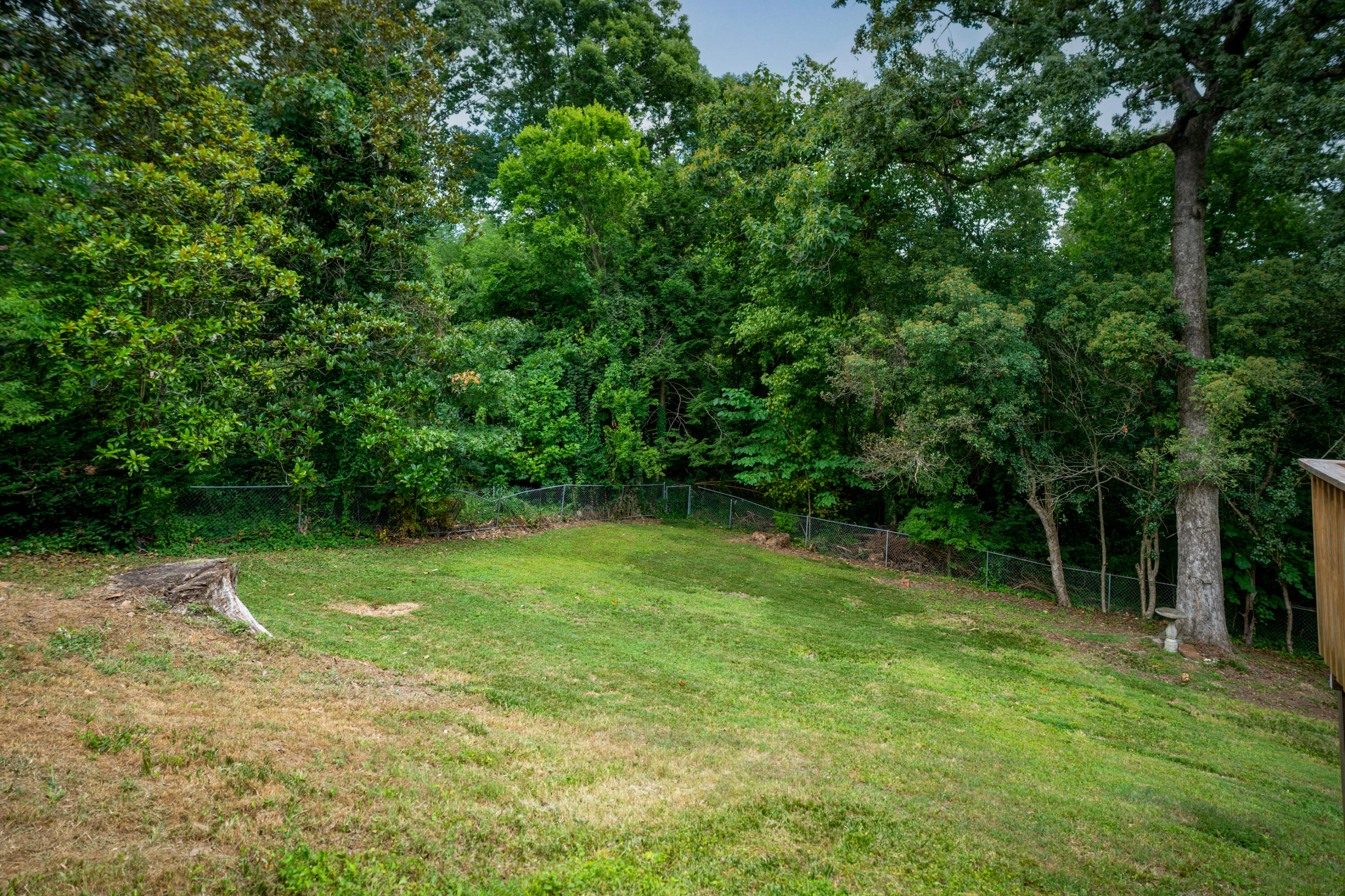 941 Sherry Circle Hixson, TN 37343 - Photo 52 of 63 _DSC2840-Edit