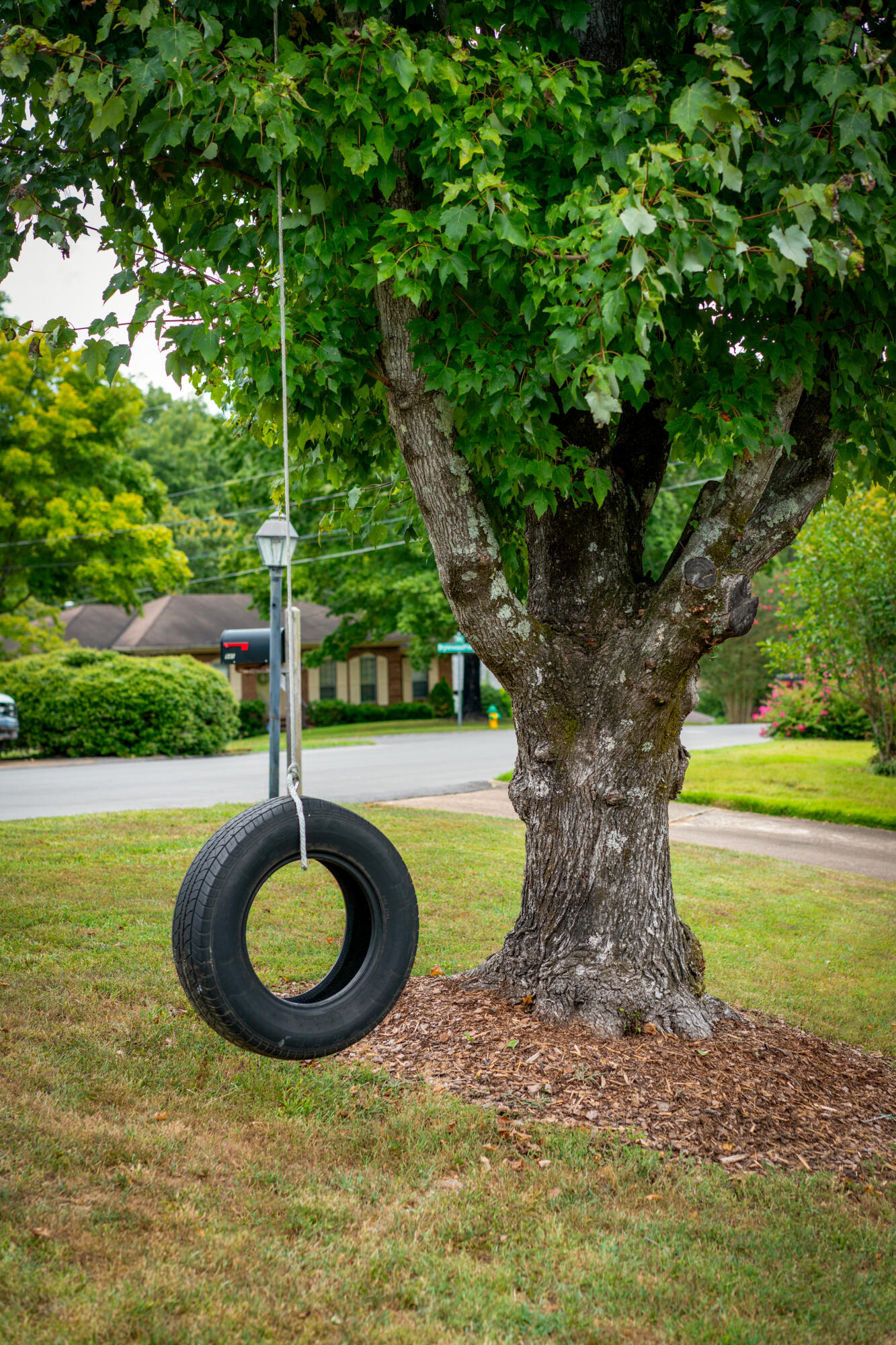 941 Sherry Circle Hixson, TN 37343 - Photo 55 of 63 _DSC2865-Edit