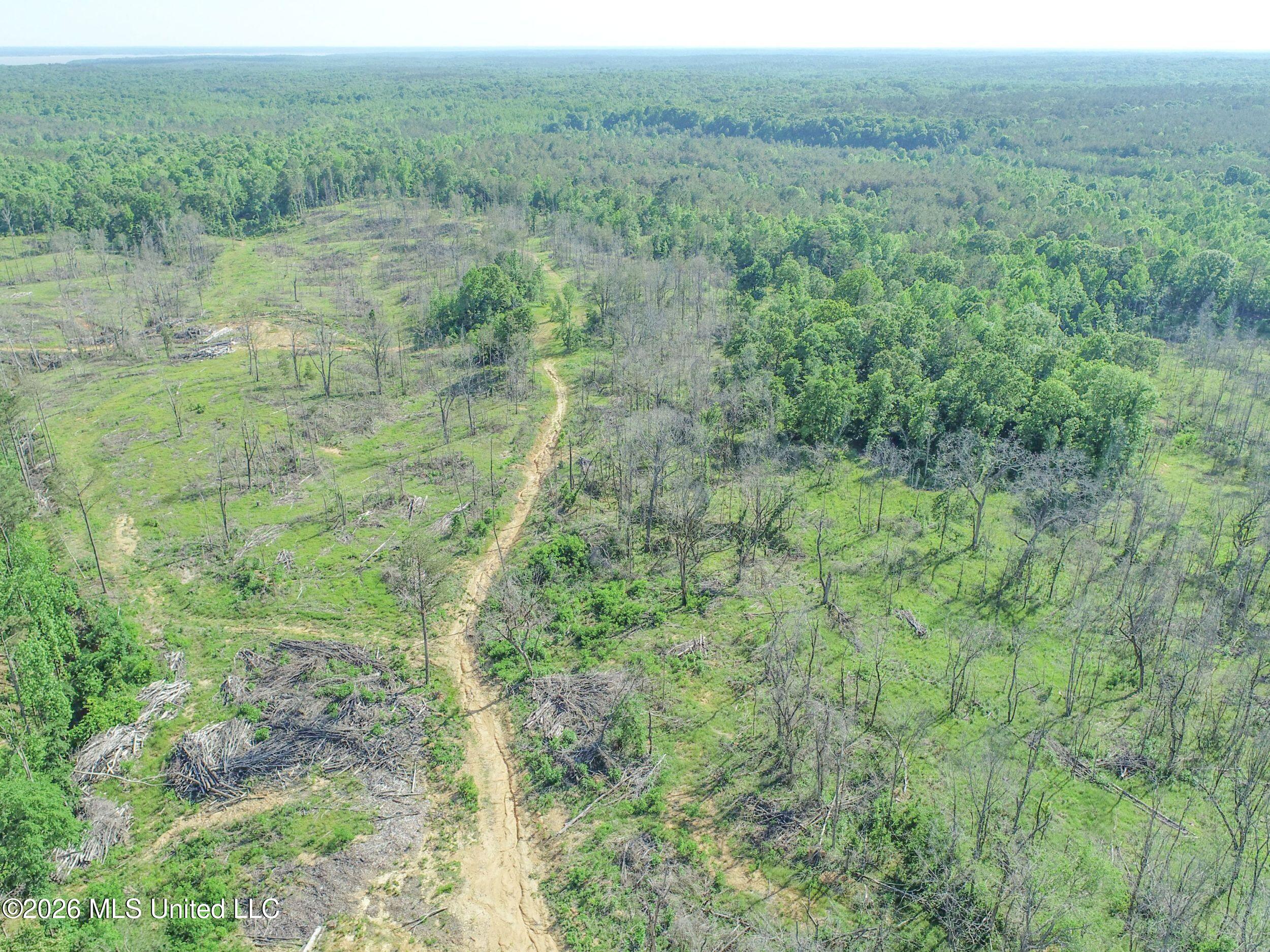 Wayne Massie Road Como, MS 38619 - Photo 29 of 184 3ctwmrd13
