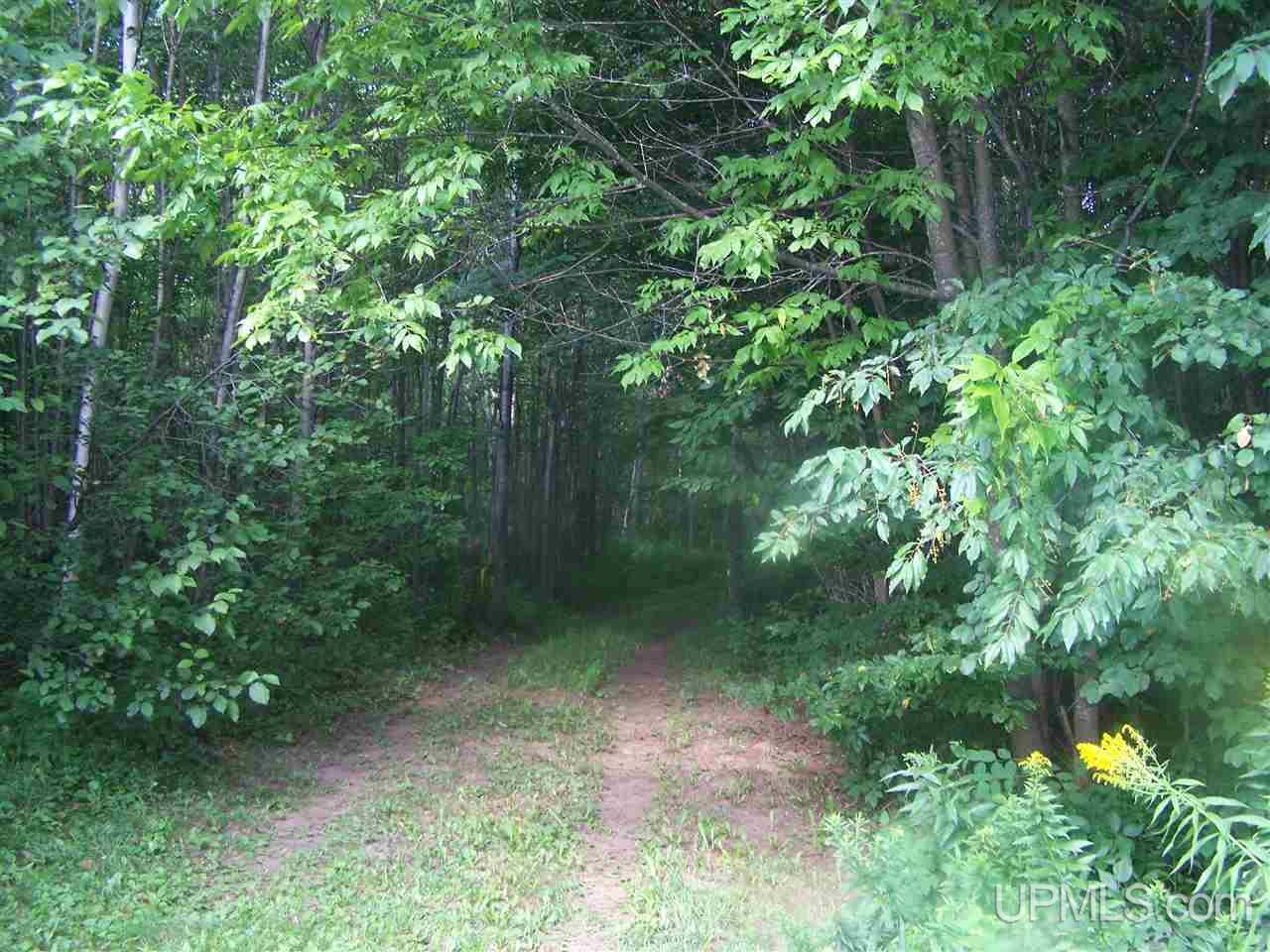 C-wi Park Road Hurley, WI 54534 - Photo 23 of 27