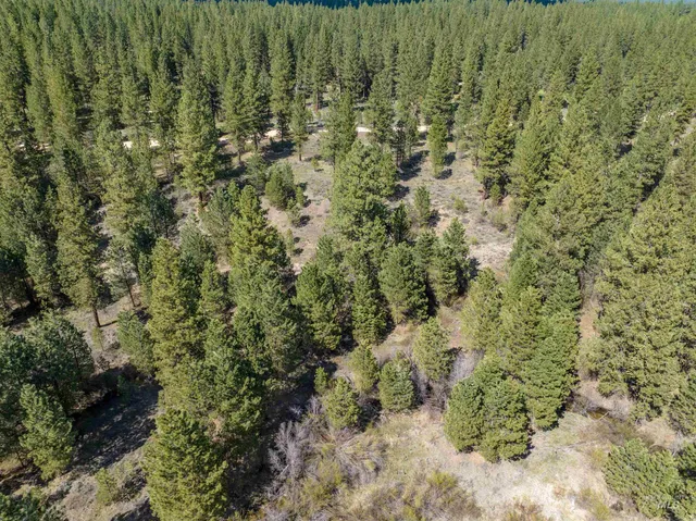 $195,000 | Lot 7 Star Creek, Idaho City, ID 83631