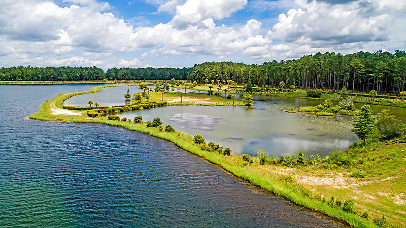 292 Calm Water Way Summerville, SC 29486 - Photo 81 of 91 Lake (1)