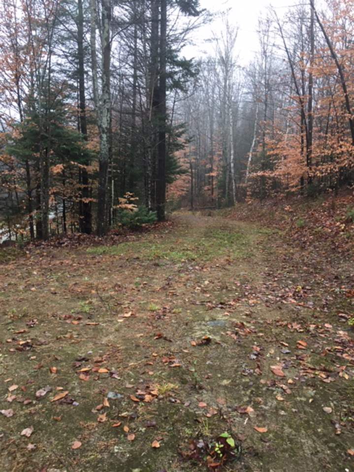 0 Town Farm Road, Unit 1 Cabot, VT 05647 - Photo 8 of 17 Gallery Image 8