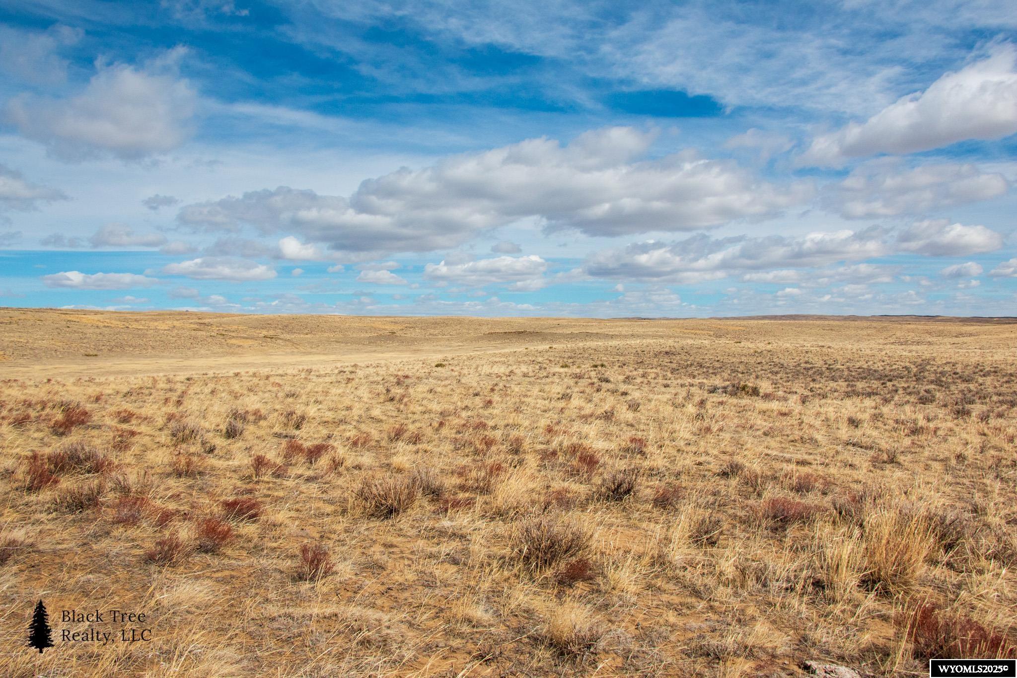 353 Frontier Street Casper, WY 82601 - Photo 2 of 24