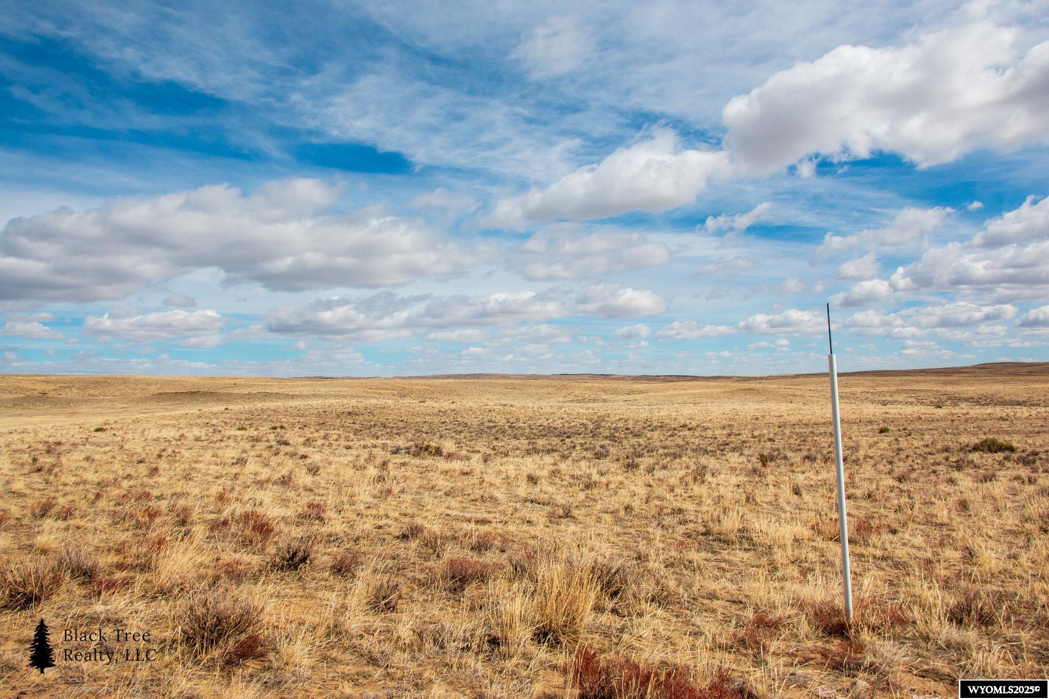 353 Frontier Street Casper, WY 82601 - Photo 4 of 24