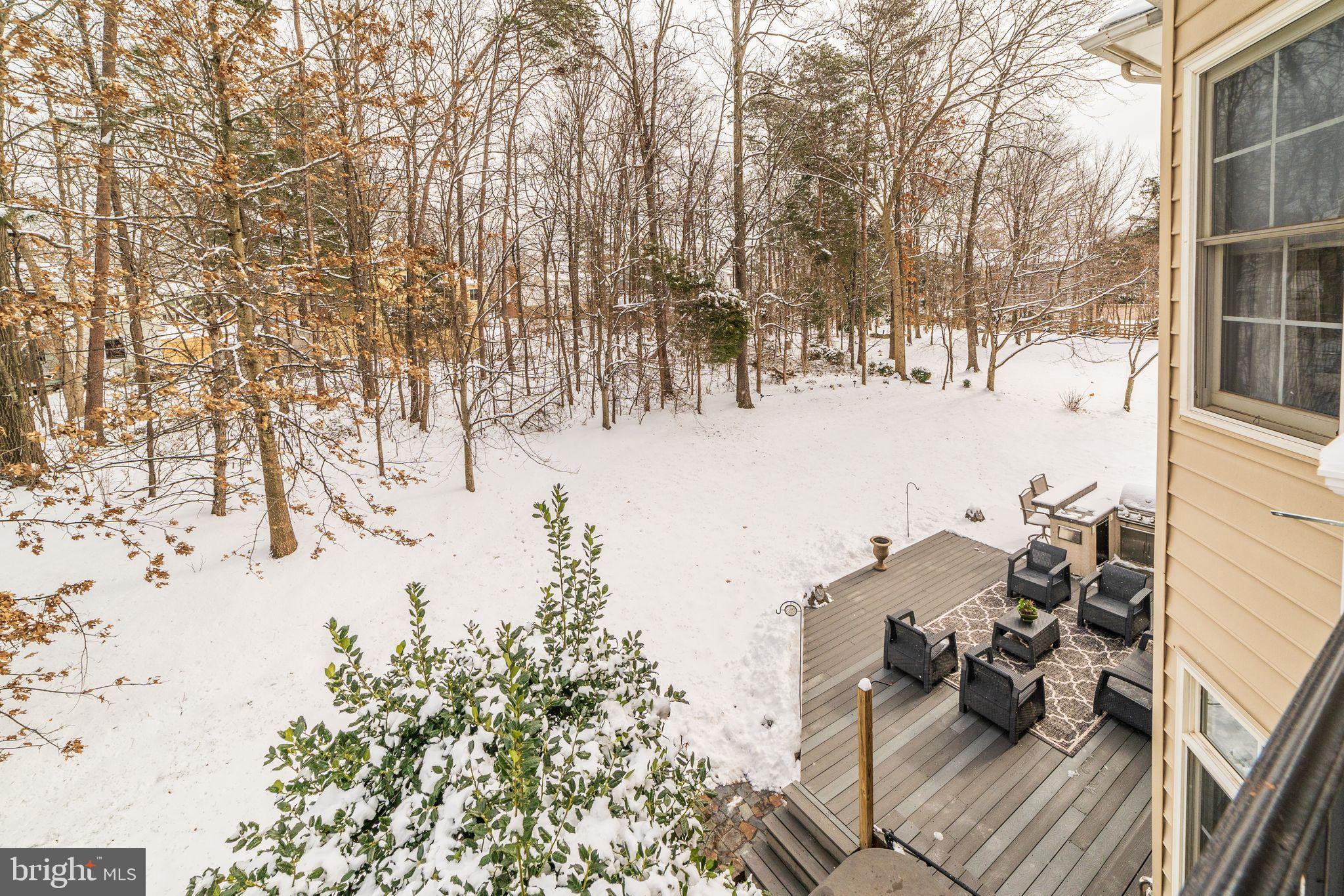 9293 Sumner Lake Boulevard Manassas, VA 20110 - Photo 48 of 49 Exterior Backyard Backs to Trees