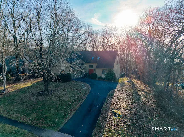 a view of a yard with plants and trees