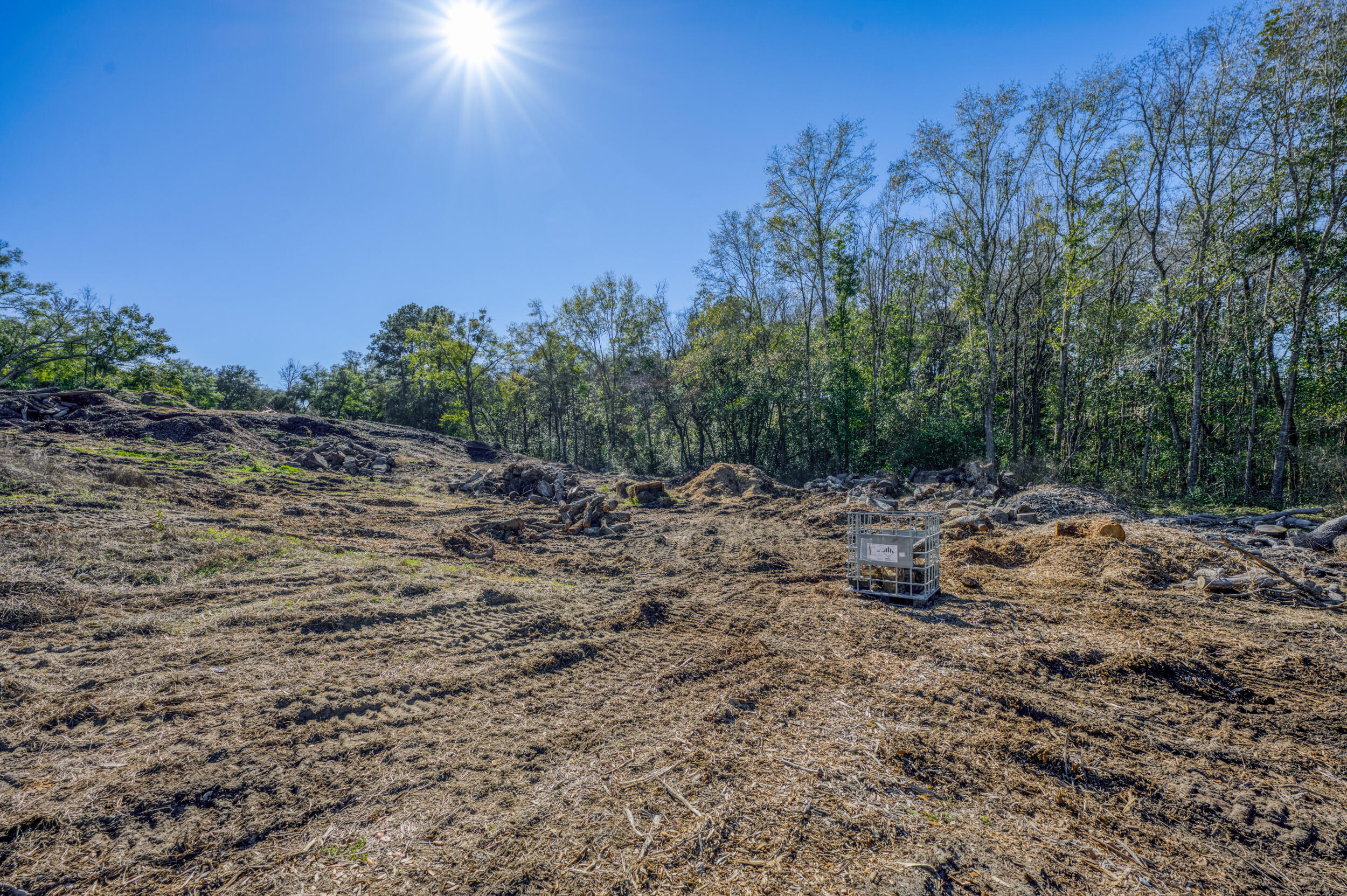 311 Kelly Road Niceville, FL 32578 - Photo 6 of 13 a view of a yard with a tree