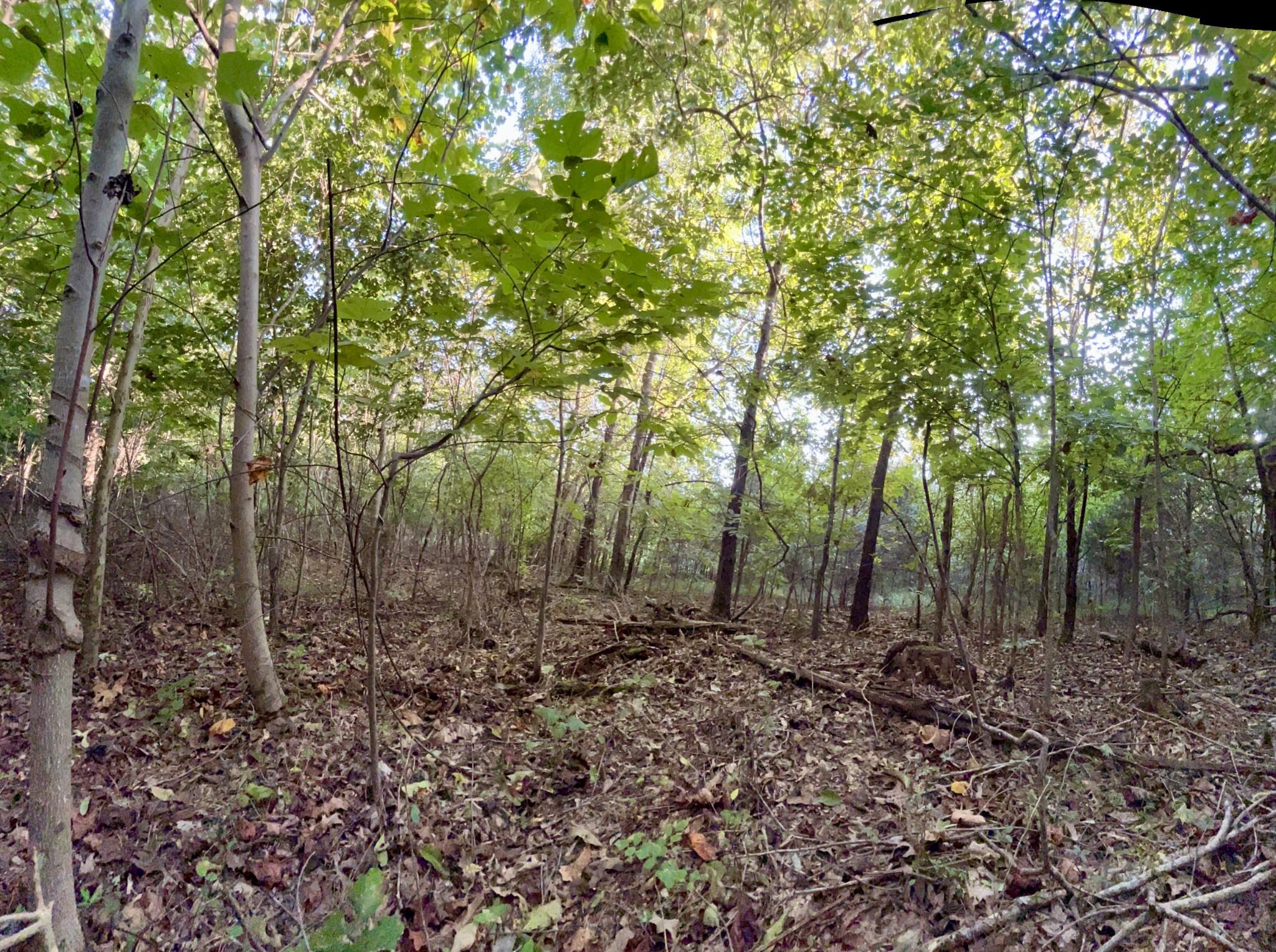 1 Gip Manning Road Clarksville, TN 37042 - Photo 4 of 26 Gallery Image 4