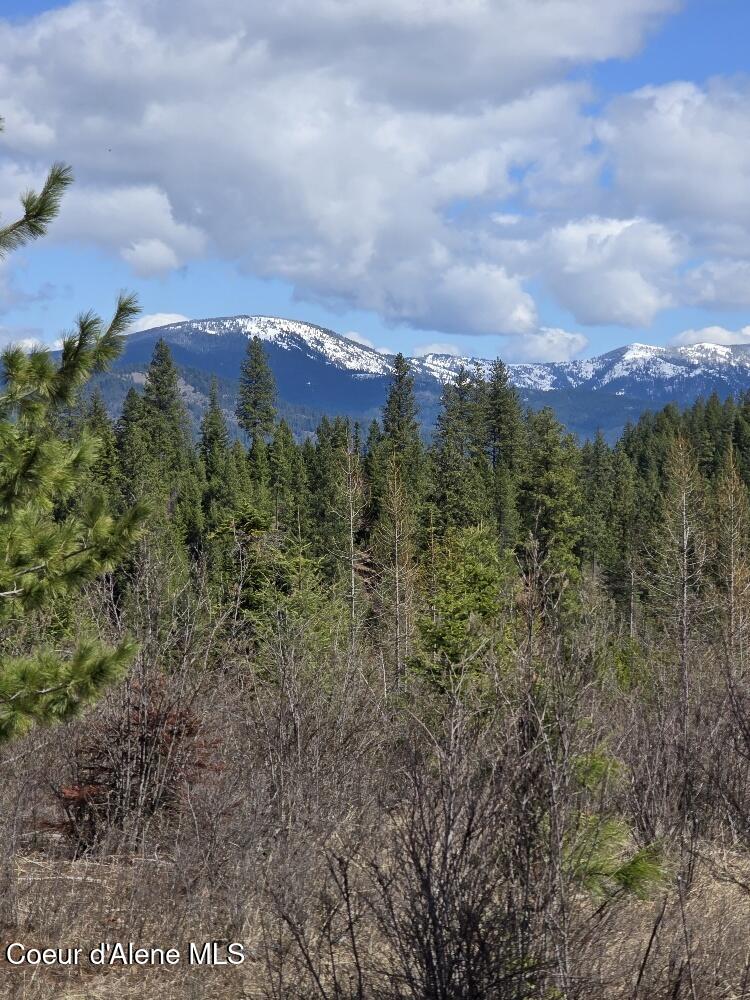 20250404_121511_resized