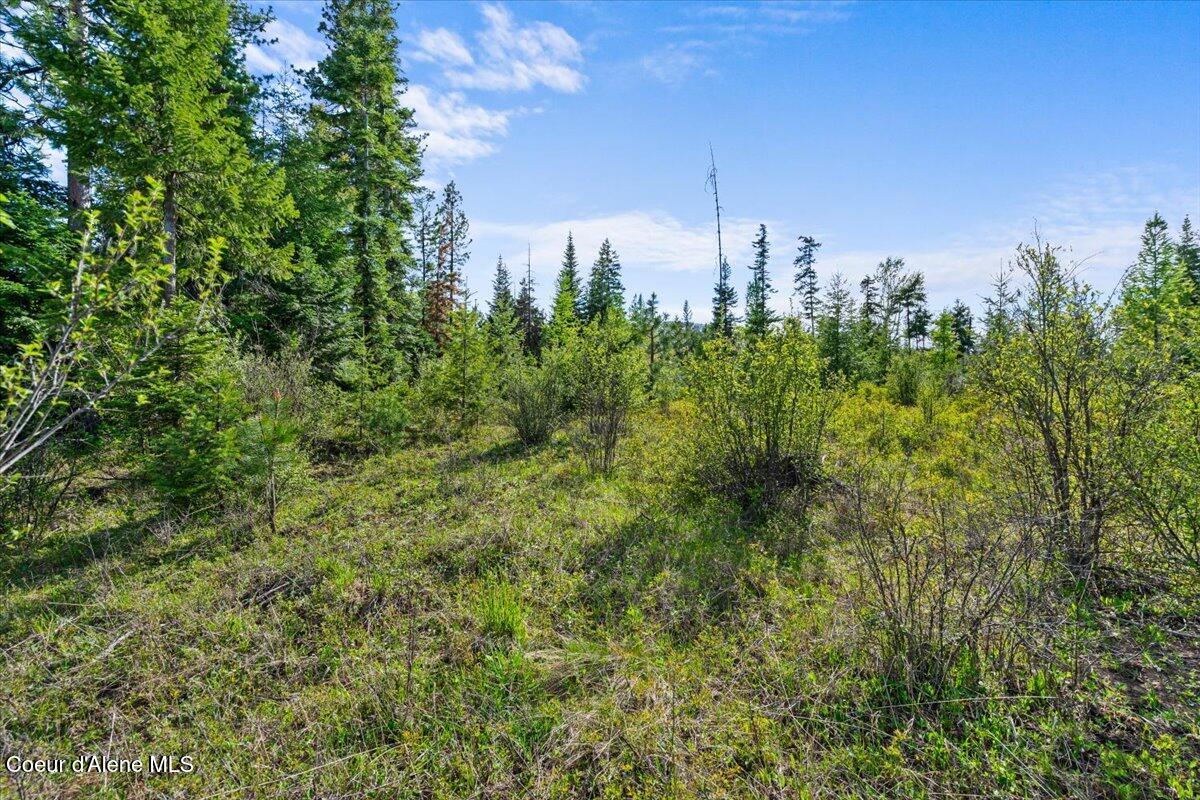 Nka Mutch Creek Road St. Maries, ID 83861 - Photo 11 of 20 15-NKA Mutch Crk Rd Aerial