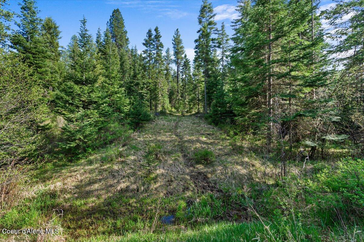 Nka Mutch Creek Road St. Maries, ID 83861 - Photo 14 of 20 18-NKA Mutch Crk Rd