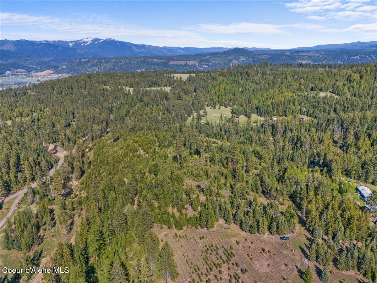 Nka Mutch Creek Road St. Maries, ID 83861 - Photo 20 of 20 03-NKA Mutch Crk Rd Aerial