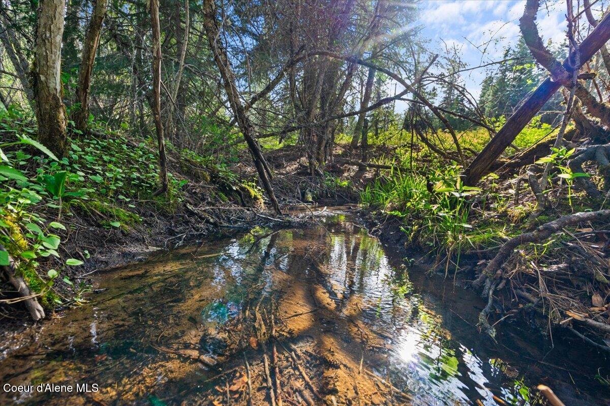 Nka Mutch Creek Road St. Maries, ID 83861 - Photo 3 of 20 25-NKA Mutch Crk Rd
