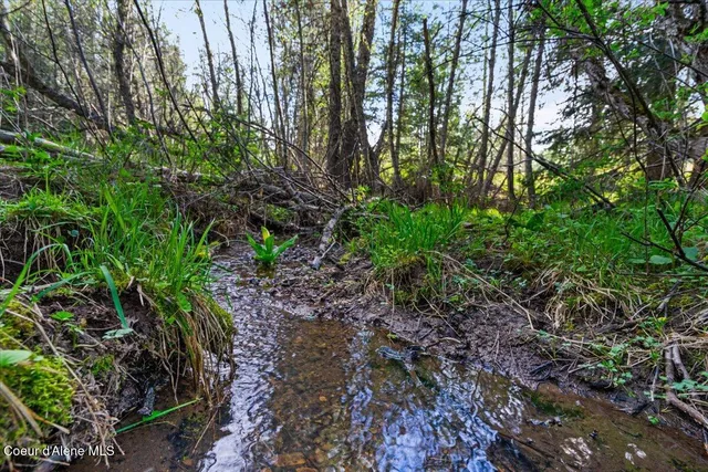 $349,900 | Nka Mutch Creek Road, St. Maries, ID 83861
