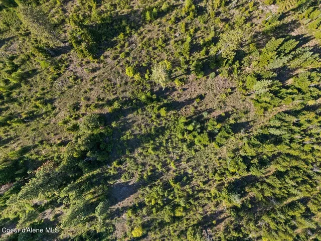 $349,900 | Nka Mutch Creek Road, St. Maries, ID 83861