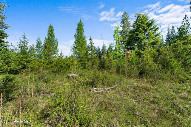 $349,900 | Nka Mutch Creek Road, St. Maries, ID 83861