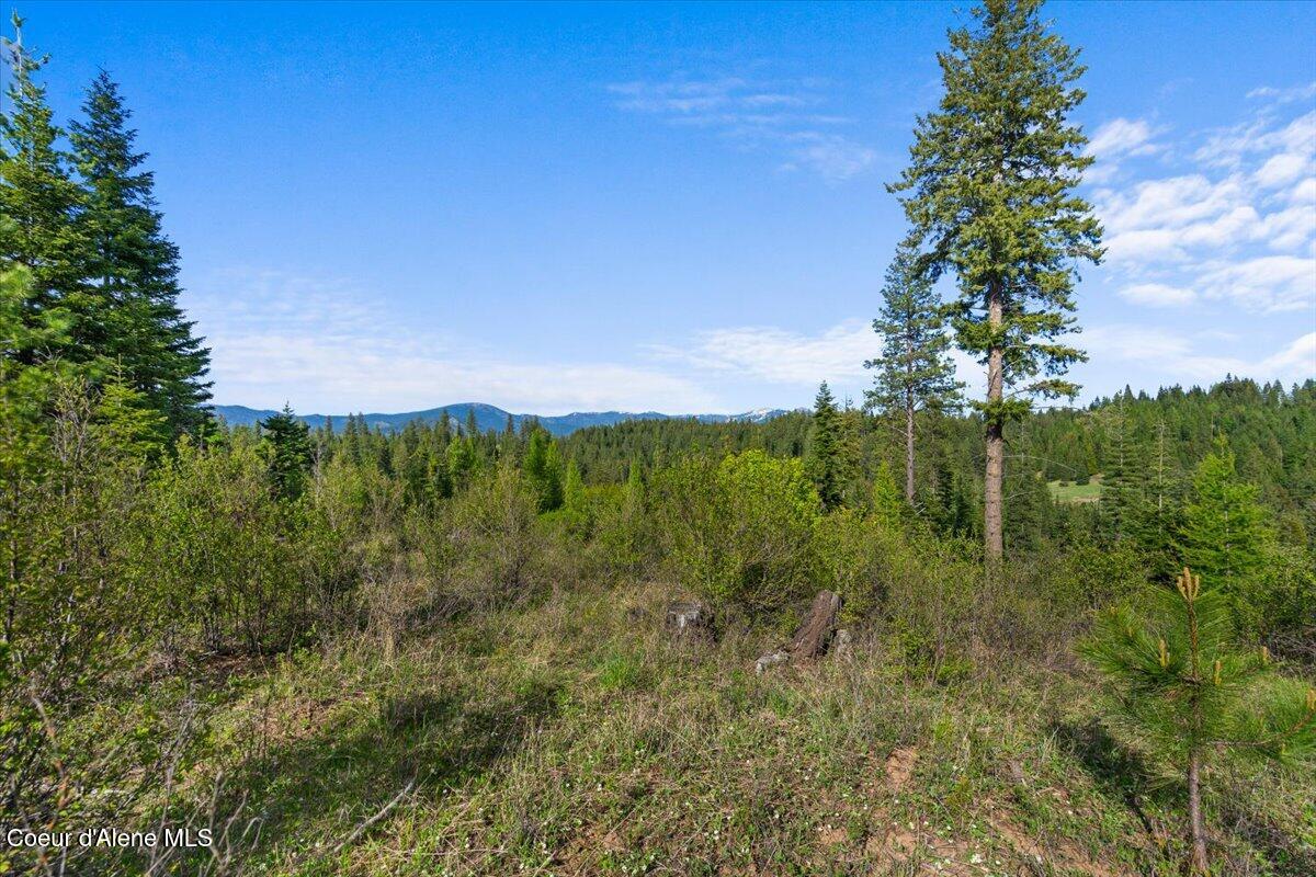 Nka Mutch Creek Road St. Maries, ID 83861 - Photo 10 of 20 14-NKA Mutch Crk Rd Aerial