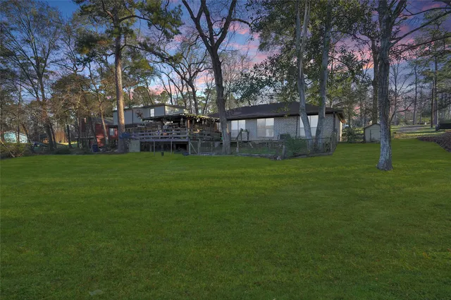 a view of a park with large trees