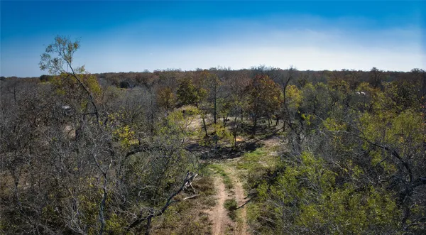 a view of outdoor space with lots of trees