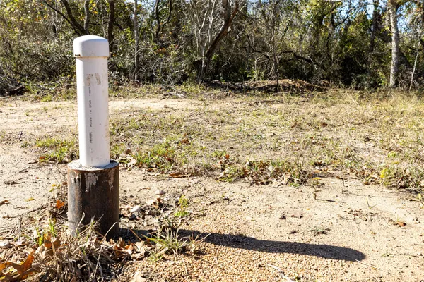 a view of road with trees