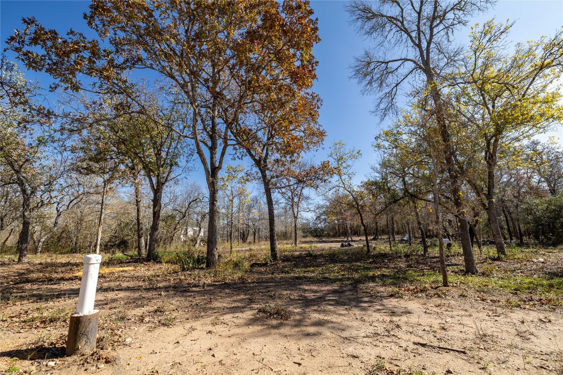 469 Union Hill Road Luling, TX 78648 - Photo 7 of 8 View of yard