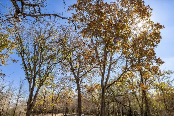 $150,000 | 469 Union Hill Road, Luling, TX 78648