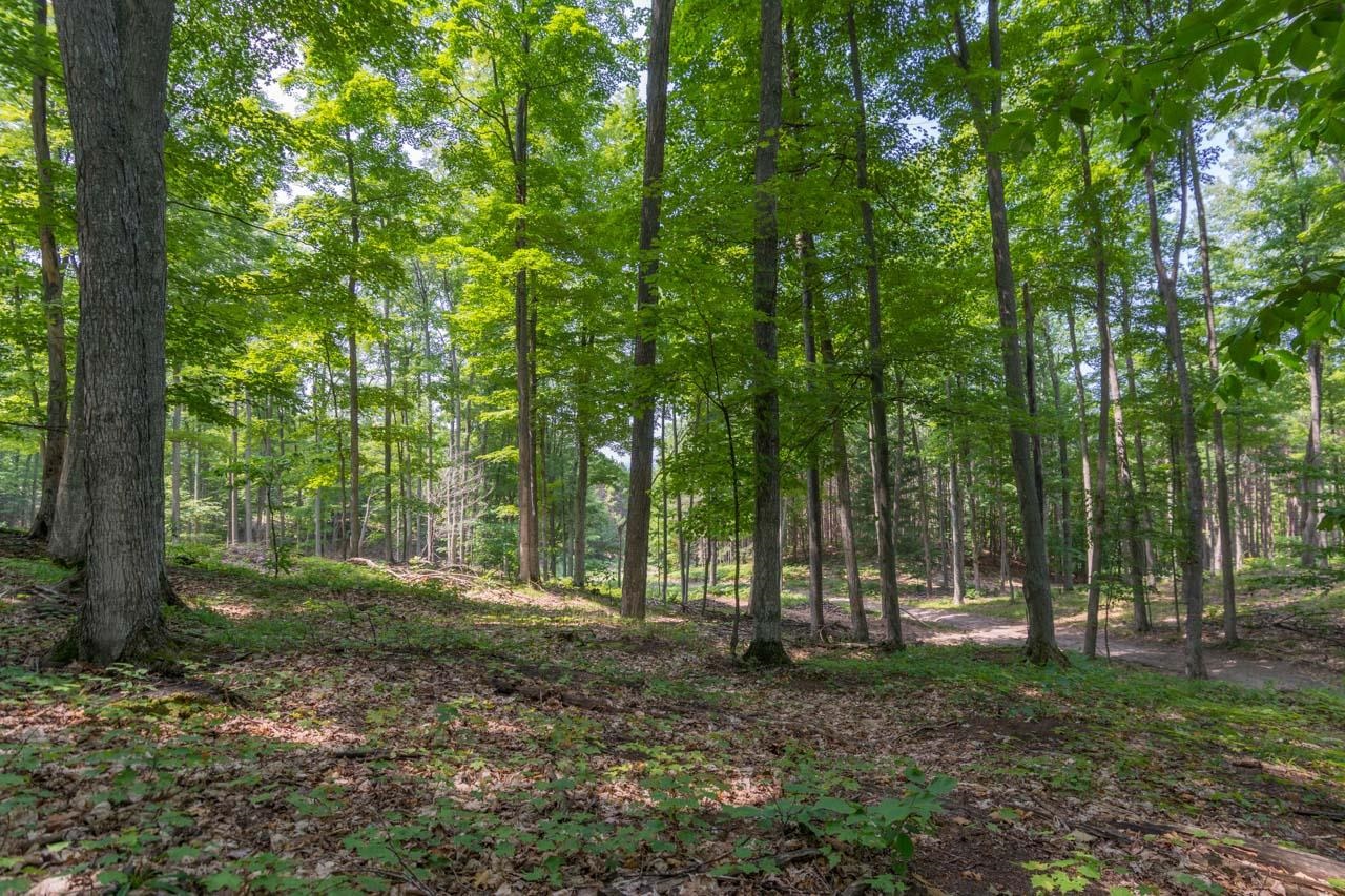 7557 South Schomberg Road Cedar, MI 49621 - Photo 46 of 52
